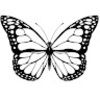 amari_figueredo